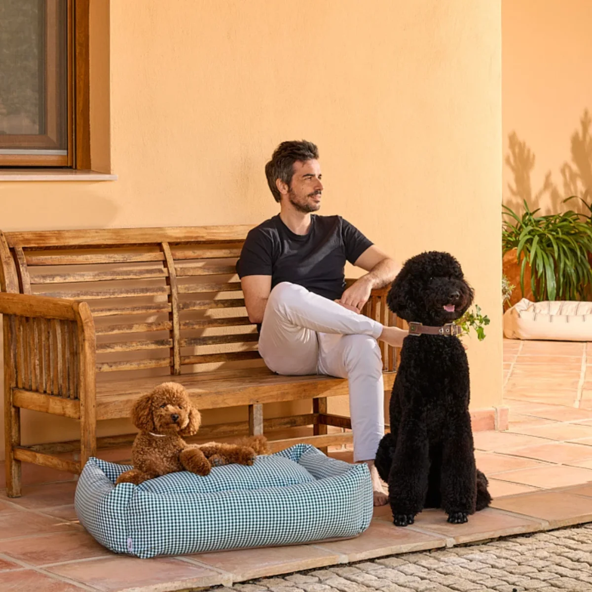 Cama para Perros Refugio Vichy Summer Edition - Imagen 3